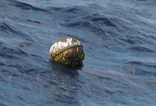 漂流物