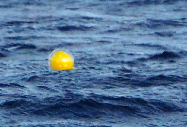漂流物