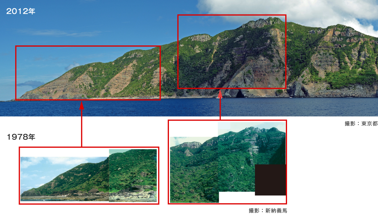 魚釣島南斜面　2012年と1978年の比較