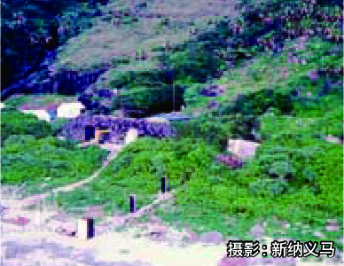 学术调查