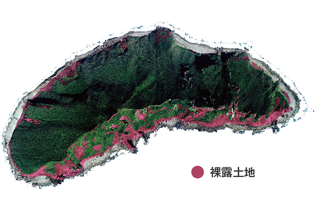 通过卫星图像分析出裸露地表的部分