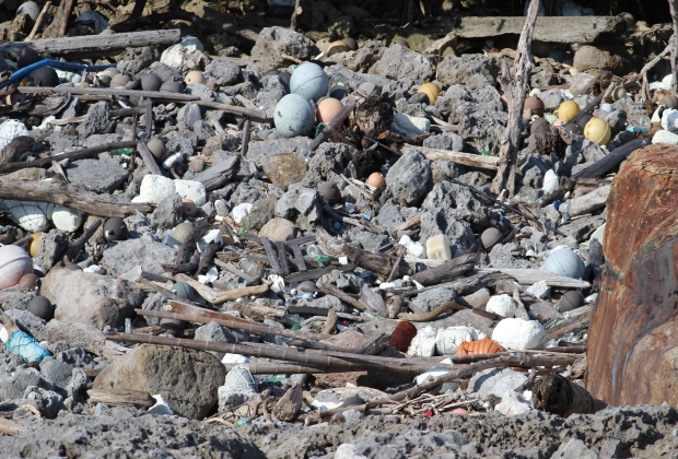 Countless numbers of fishing gear (Styrofoam or urethane buoys, fishing nets)