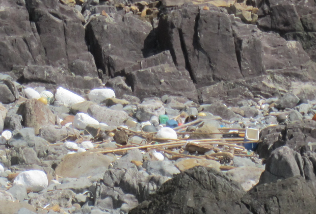 Marine debris